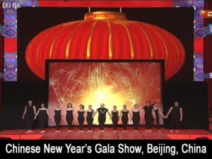 Chinese New Year's Gala Show